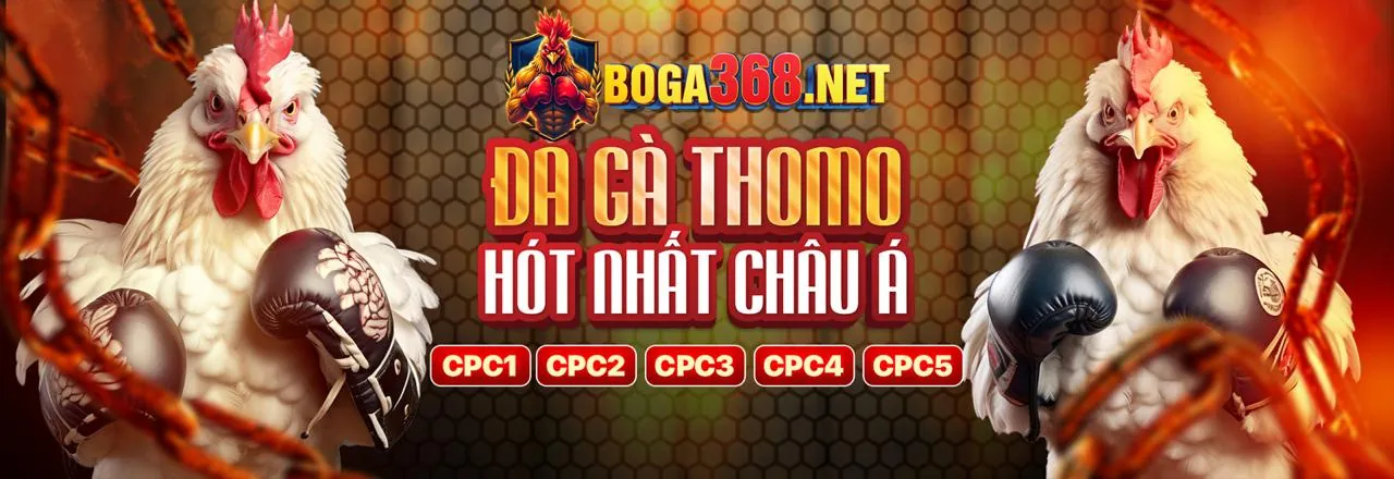 Đá Gà Trực Tuyến Hấp Dẫn tại 8kbet456 Link Vào